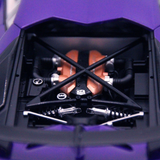 Tari Purple Lambo